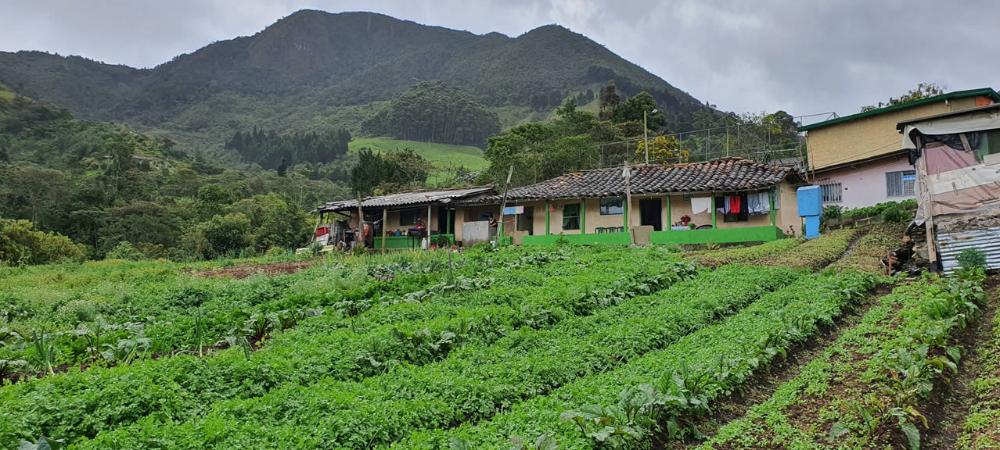 La Alcaldía de Medellín lidera foro virtual sobre la ruralidad como eje para una ciudad sostenible